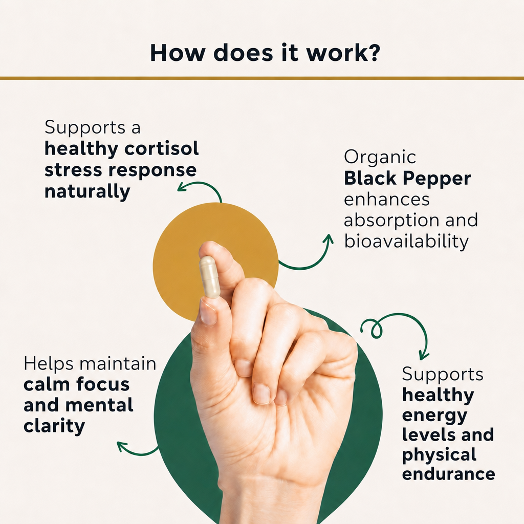 PuraDaily Ashwagandha how does it work