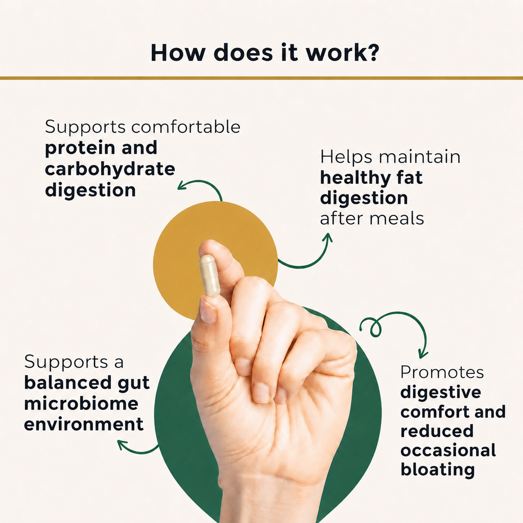 PuraDaily Digestive Enzyme Pro Blend how it works